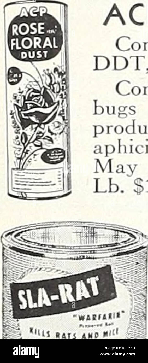 . Ville capitale de semences pour 1957. Pépinières (Horticulture) ; catalogues de bulbes (plantes) ; Catalogues Catalogues légumes ; outils de jardin ; Catalogues Catalogues de graines. Chasse chiens, chats. Protège votre jardin, fleurs, arbustes et arbres. Ce n'est pas comme en poudre ou liquide. 100 ft. 1,50 $. RAT-NOTS. "Leur dernier repas" non venimeux, relativement sans danger pour les humains et les animaux domestiques. Petite taille 35c. Grande taille de 1,00 $. Les déshérités de la souris. Prêt à l'emploi. Taille d'essai 35c. Taille de l'immobilier de 1,00 $. MOLE-NOTS. Tue les taupes dans leurs trous. Taille d'essai 35c. Taille de l'immobilier de 1,00 $. ROACH-NOTS. Roaches détruites en toute sécurité. T Banque D'Images