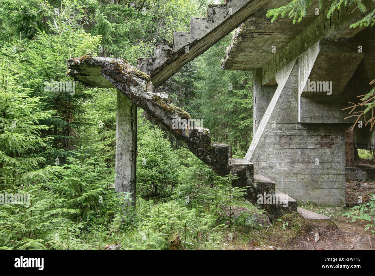 Ruines abandonnées de l'escalier en béton dans la forêt Banque D'Images