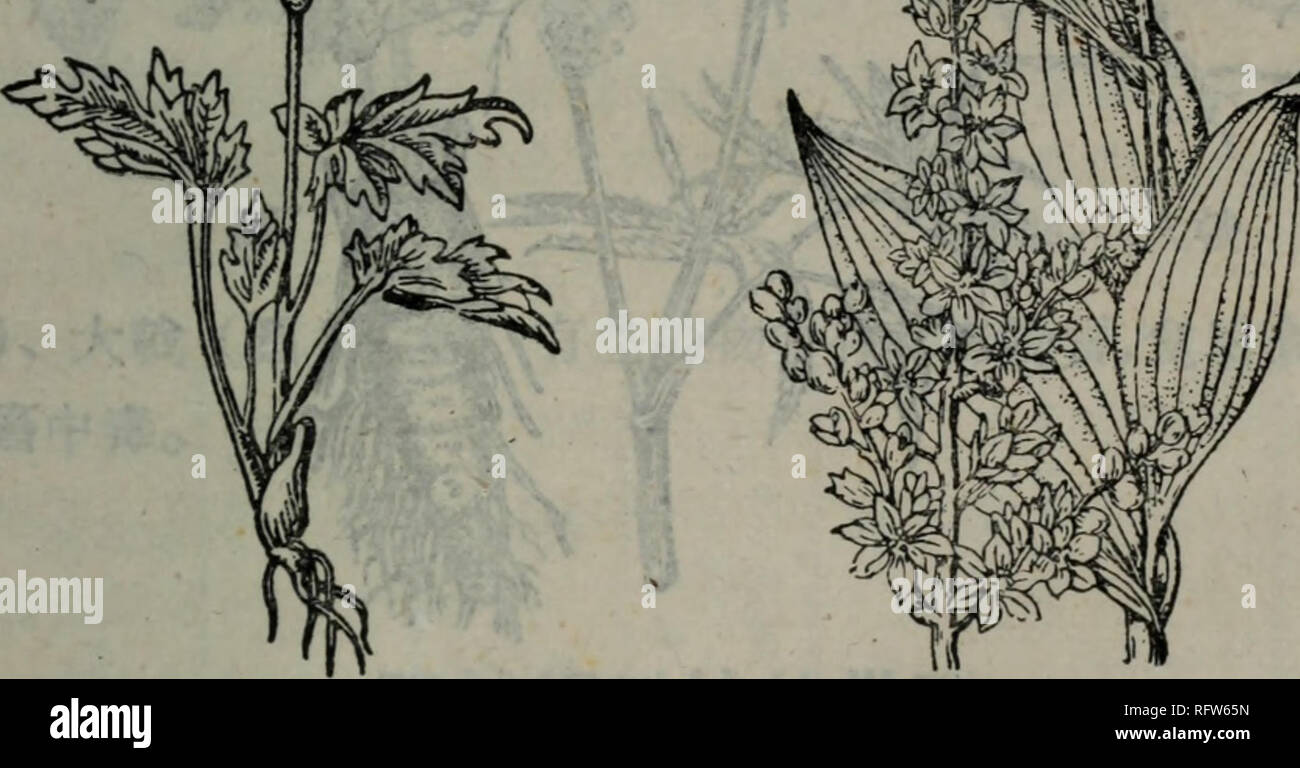 Cao Di Yu Mu Di Botanique A4 Aeecae A5 Ee E A A Ae ªe Aeae A Ea Ae Cec A A Ci A Aaecµc Ca ºa A A E Cei Ea A A Aaa A Ei A Ac Ae Eaeae A Aea Aºa Ae Ae ªa C Ei A A Cec Cªae Ae A A7jce E Ac C A A Aeµ Aa A M Aee M Ae Ea Aa Aea A