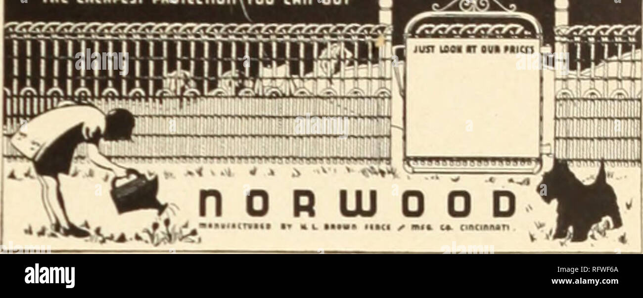 . Ville capitale de semences pour 1956. Pépinières (Horticulture) ; Catalogues Catalogues ampoules (plantes) ; légumes ; Catalogues Catalogues outils de jardin ; semences Catalogues. re jj er un morceau d'équipement pour les fleuristes, pépiniéristes, paysagistes et les concessionnaires du sol. L'newlv actionized "développés" lames de déchiquetage sont faits d'un alliage d'acier spécial pour résister à l'usure la plus grave. Chaque lame déchiqueteuse à oscillation libre est. Le contre-lames sont montées individuellement avec un ressort sur chaque lame. Seul l'objet non écraser pour passer par la déchiqueteuse. 13 Modèle Jr. avec moteur 144,00 $ ; Mo Banque D'Images