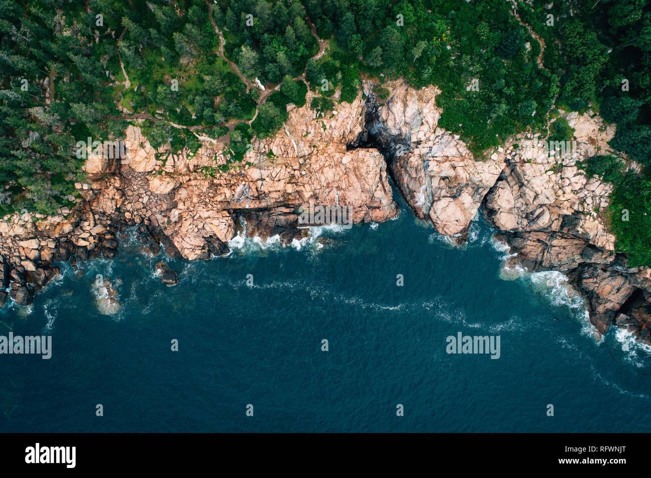 Vue sur les falaises rocheuses sur Mount Desert Island, Maine Banque D'Images