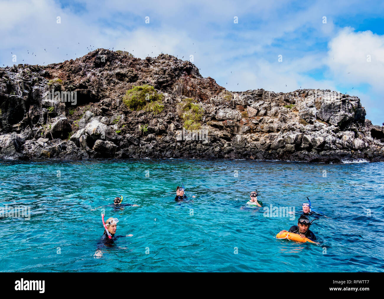 Snorkeling par l'Islote Pitt, San Cristobal (Chatham), l'île de Galapagos, UNESCO World Heritage Site, Equateur, Amérique du Sud Banque D'Images