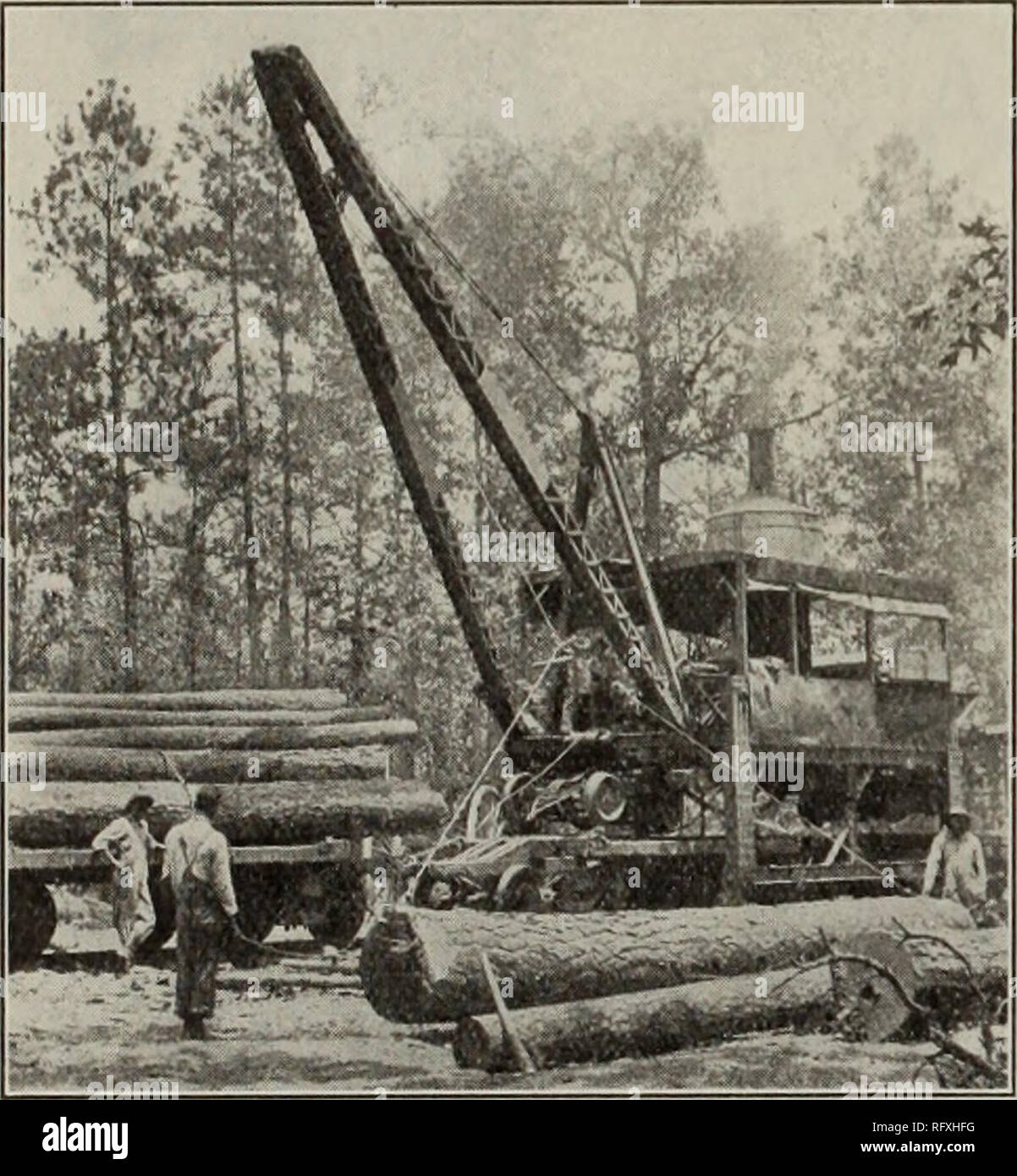 . Industries canadiennes forestières Juillet-décembre 1912. L'exploitation forestière ; les forêts et la foresterie ; Produits forestiers ; l'industrie de pâte de bois ; industries du bois. CANADA 68 MENUISIER BÛCHERON ET LES PRIX DU BOIS D'Actuel n° 2 suite 6/4 coupe 45 00 No 2 Coupe 8/4 60 00 5/4 33 coupes No S 00 coupes n° 8 G/434 (X) n° 3 36 00 Réductions 8/4 5/4 46 Vinaigrette Vinaigrette 00 5/4 x 10 5/4 x 51 00 12 52 Dressing 00 No 1 5/4 5800 Moulage Moulage n° 1 6/4 68 00 No 1 8/4 5800 Moulage Moulage n° 2 5/4 47 00 No 2 6/4 470 Moulage" n° 2 8/4 4700 Moulage Grange n° 1 1 x 12 46 00 No 1 Barn 1x6 et 8 34 00 No 1 1 grange Banque D'Images