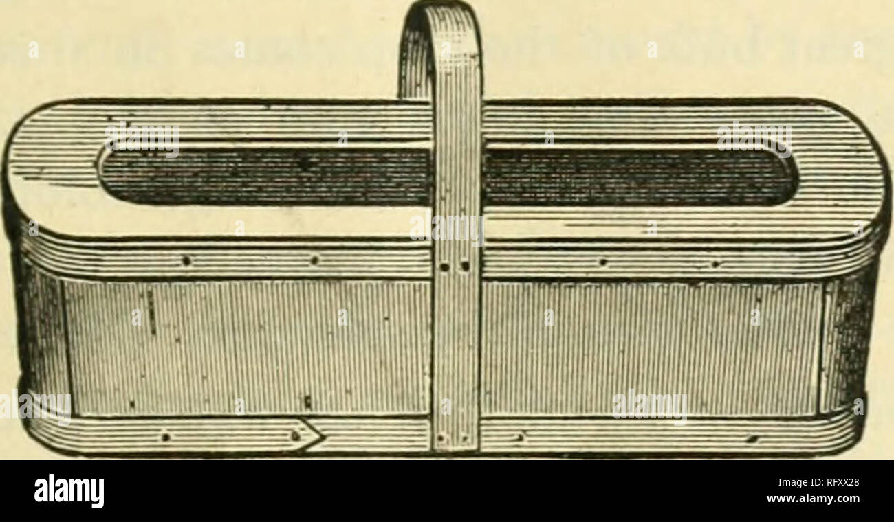 . L'horticultrice [mensuel], 1892. Jardinage ; les périodiques canadiens. Le classement des fruits. Il importance de bien notre classement des fruits pour marché peut difficilement être surestimée. Un expéditeur, envoyant ses poires sans classement, obtenu des prix bas, et sur l'enquête rea- fils, il a dit qu'ils étaient toutes les secondes, et le prix est revenu était bon pour cette classe. Le fait est, qu'il avait envoyé ses premières et secondes mélangées ensemble, dans le même emballage, et l'ensemble du lot vendu comme deuxième classe. L'écrivain a depuis des années fait une pratique de classement attentivement presque chaque genre de fruit. Il met en place dans les poires Banque D'Images