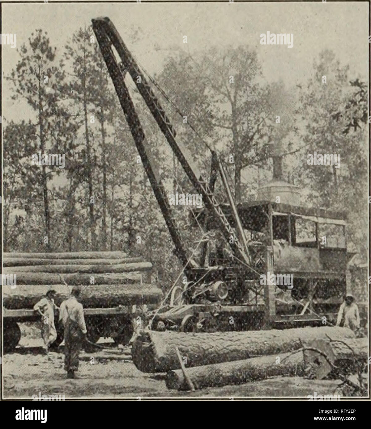 . Industries canadiennes forestières Juillet-décembre 1912. L'exploitation forestière ; les forêts et la foresterie ; Produits forestiers ; l'industrie de pâte de bois ; industries du bois. CANADA 68 MENUISIER BÛCHERON ET LES PRIX DU BOIS D'ACTUELLES -Suite n° 2 Coupe 6/4 45 00 No 2 Coupe 8/4 50 00 No 3 5/4 3300 Coupe des coupes n° 3 6/4 34 00 no 3 3600 Coupe 8/4 5/4 4000 Vinaigrette Vinaigrette 5/4 x 10 51 00 12 52 Dressing 5/4 x 00 n° 1 5/4 5800 Moulage Moulage n° 1 6/4 58 00 No 1 8/4 5800 Moulage Moulage n° 2 5/4 47 00 No 2 6/4 4700 Moulage Moulage n° 2 8/4 47 00 Grange n° 1 1 x 12 40 00 No 1 1 x 6 grange et S 34 00 No 1 1 x Grange Banque D'Images