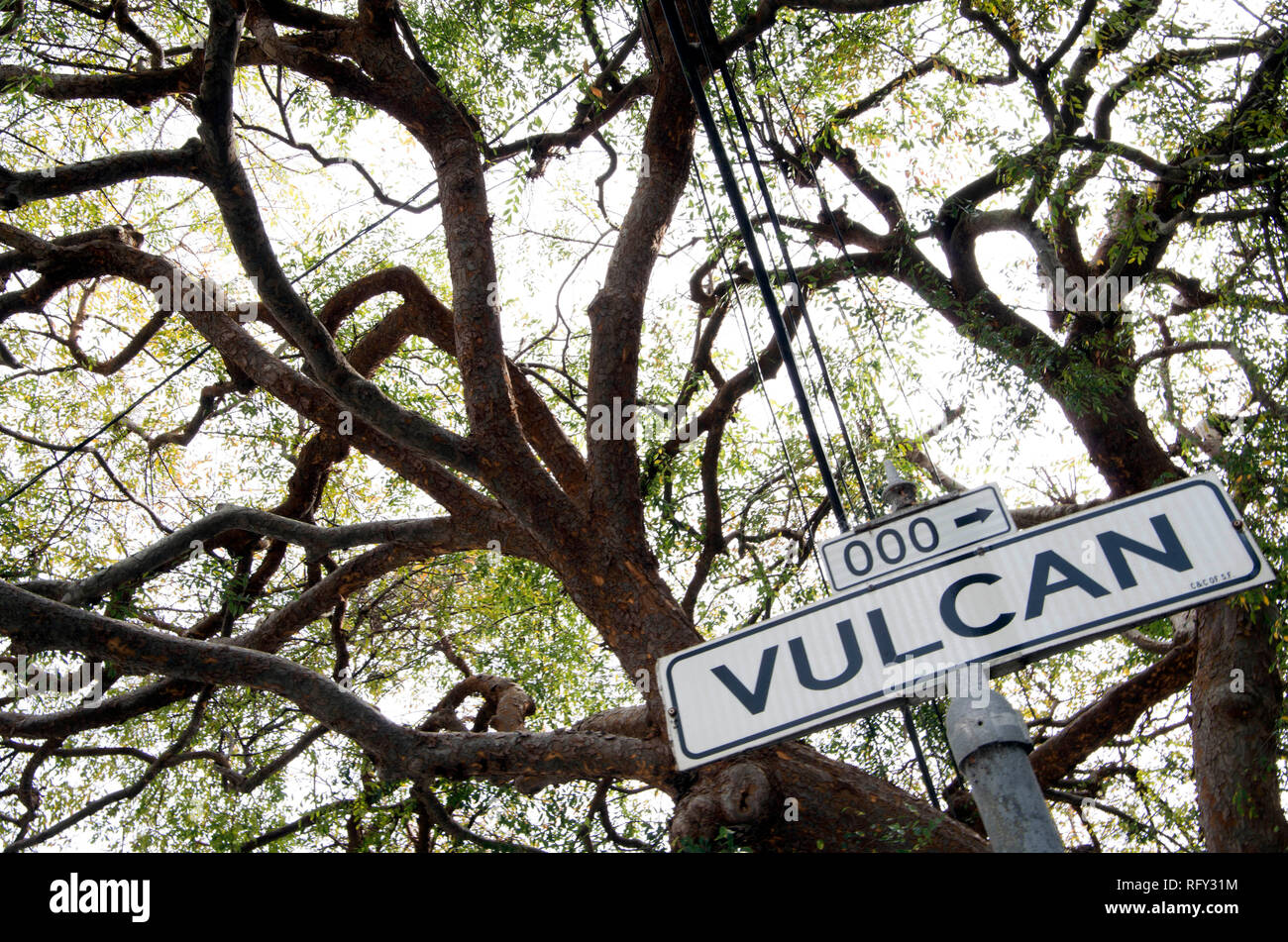 La Vulcan escaliers dans San Francisco se connecter deux blocs près du quartier Castro. Les habitants le long des étapes de maintenir l'escalier. Banque D'Images