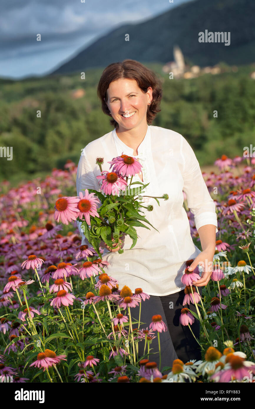 Du vrai agriculteur femme en champ d'échinacée Banque D'Images