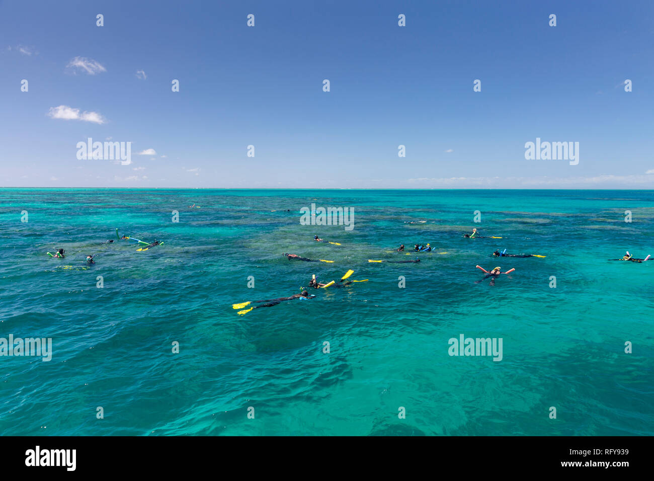Les gens la plongée pour explorer la Grande Barrière de corail en Far North Queensland, Australie Banque D'Images