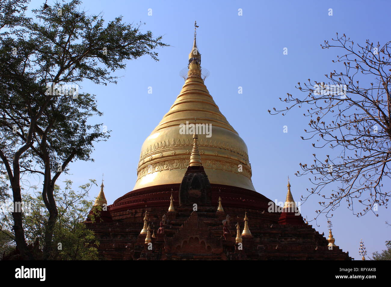 Temple de paysage au Myanmar Bagan à sec avec des buissons verts Banque D'Images