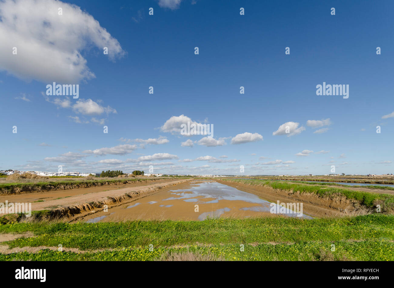 Les marais salants, de marais salants, le sel de l'étang d'évaporation, Tavira, Portugal, Europe. Banque D'Images
