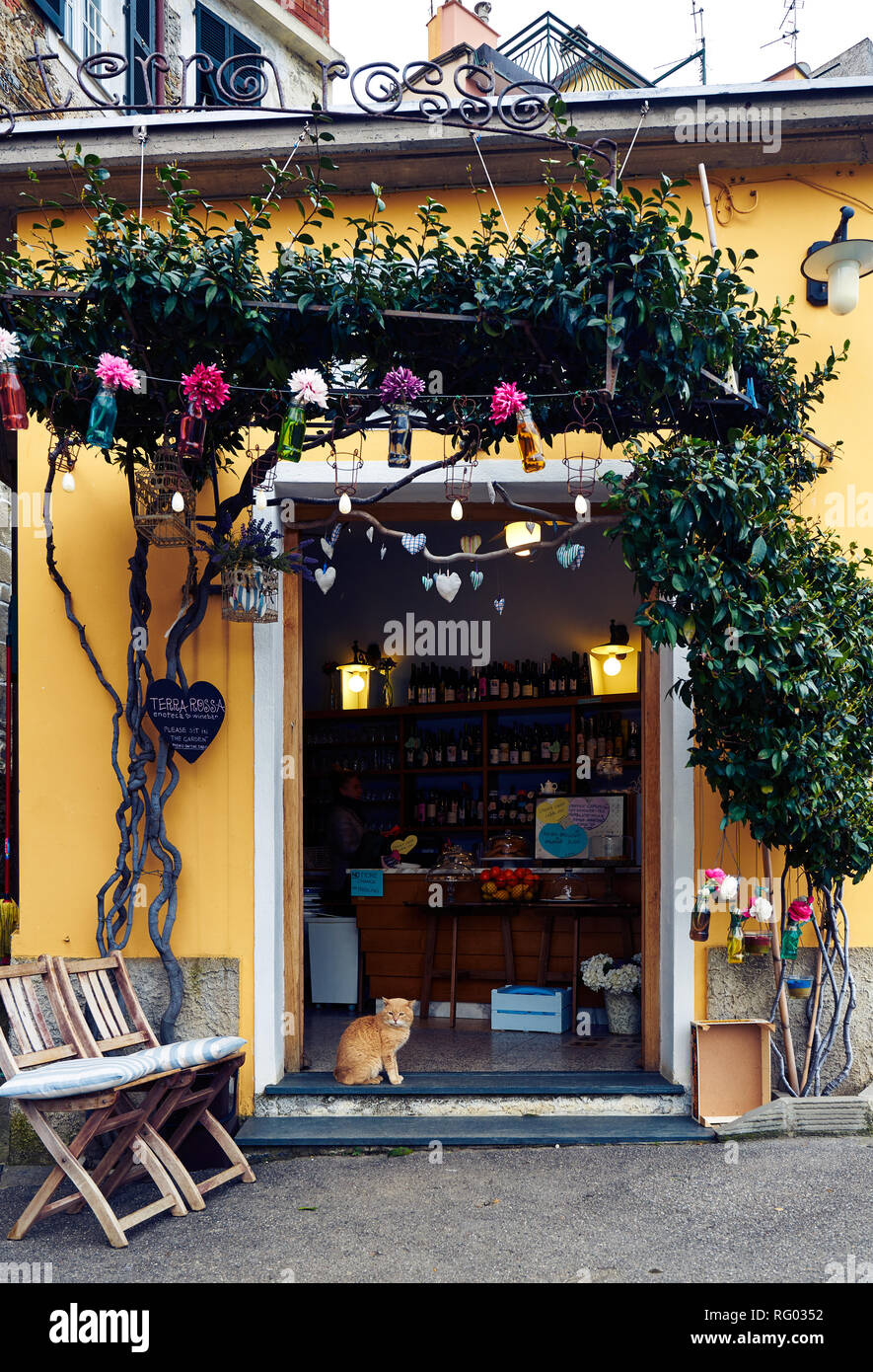 Cat est assis devant un café coloré, à Corniglia, Cinque Terre, Italie Banque D'Images