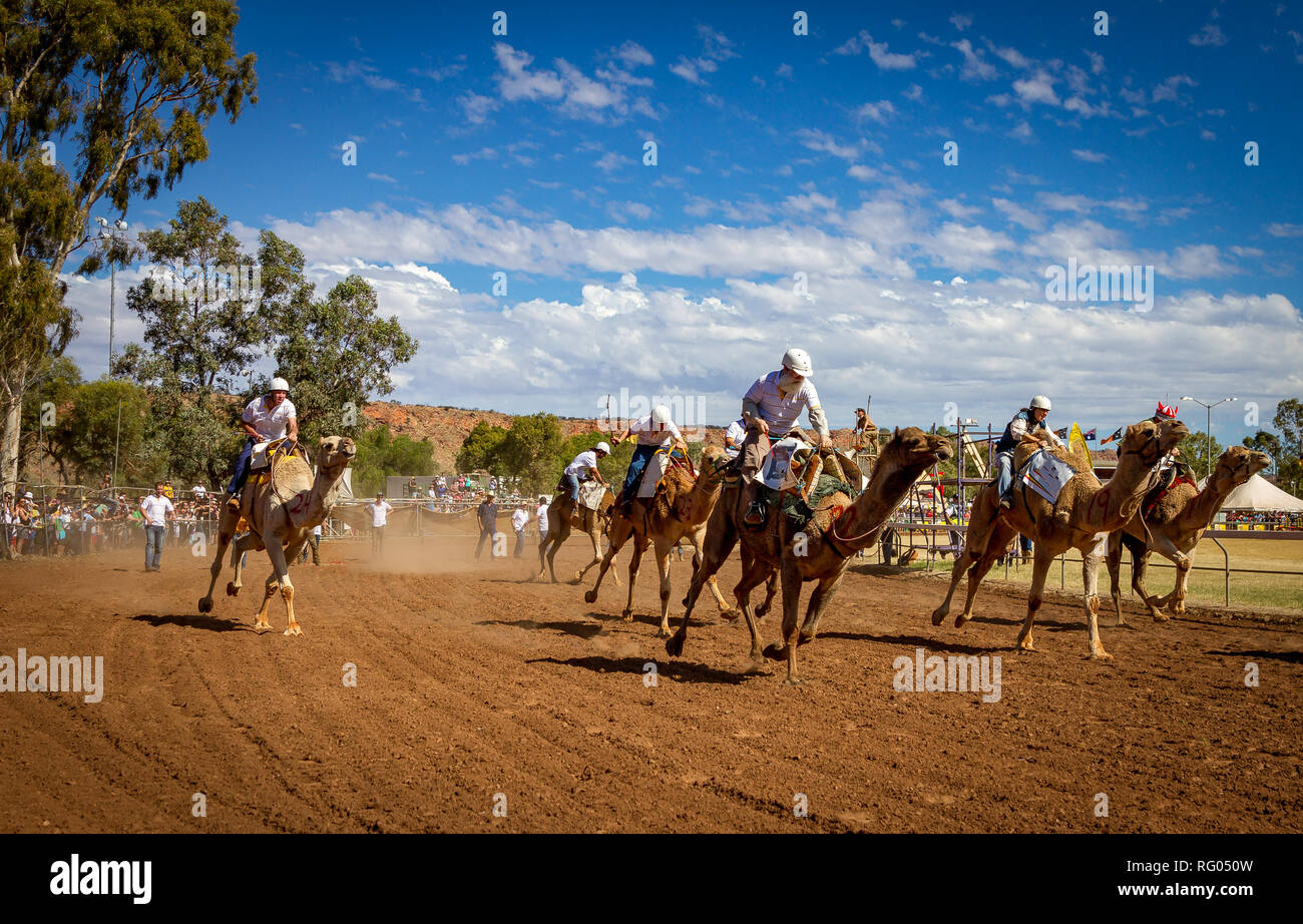 Courses de chameaux à Alice Springs, Territoire du Nord Banque D'Images