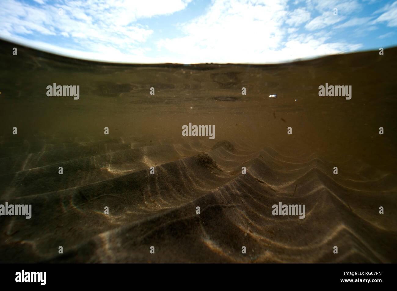 Univers Sous Marin Photos Univers Sous Marin Images Alamy - 