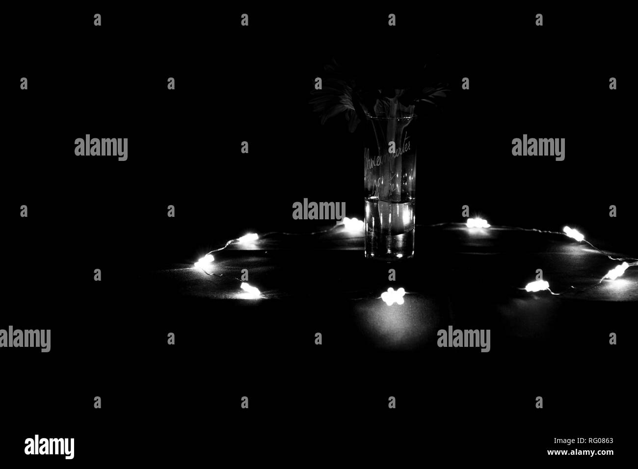 B&W de fleurs dans un vase Banque D'Images