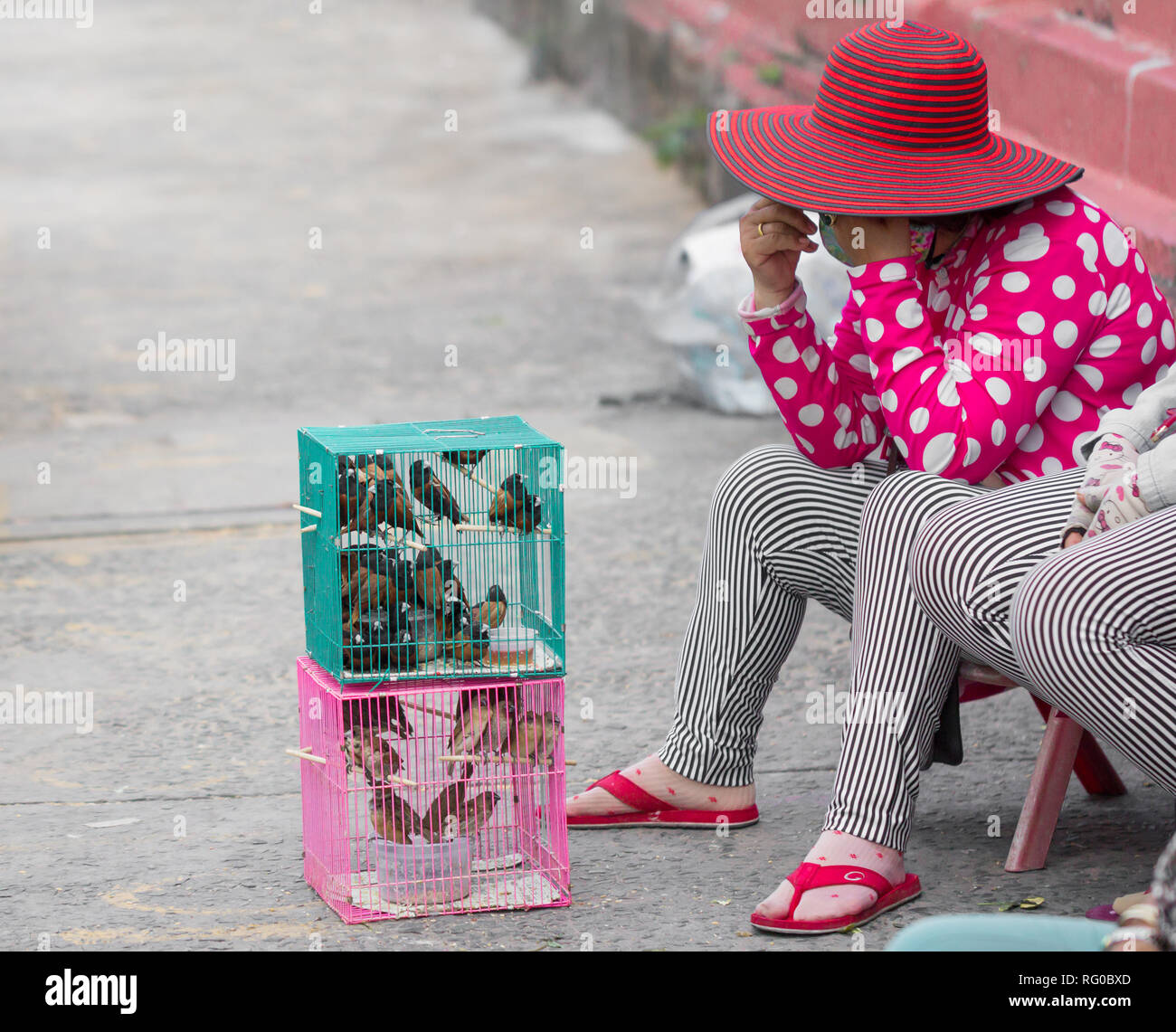 Vendeur de rue asiatique d'oiseaux en cage pour la bonne fortune Banque D'Images