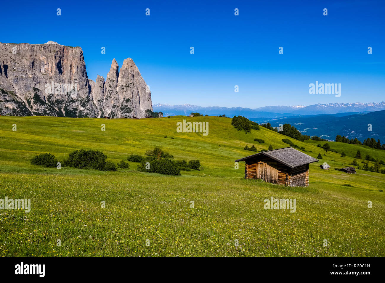 Campagne agricole vallonné avec de verts pâturages et maisons en bois à l'Alpe di Siusi, Alpe di Siusi, la montagne Schlern, Sciliar, dans la distance Banque D'Images