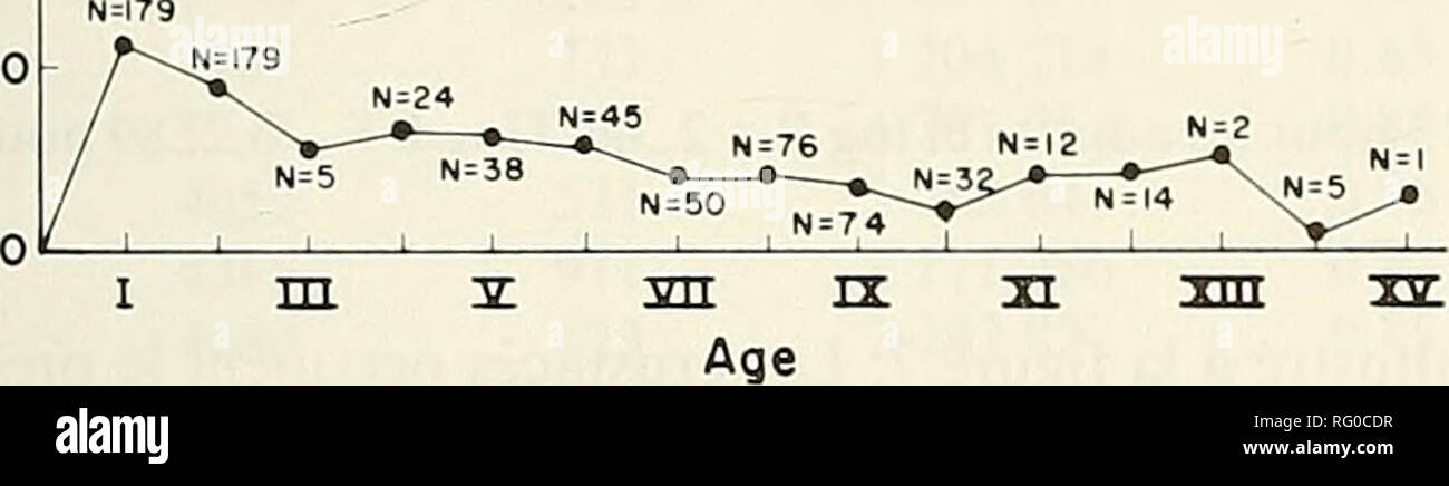 . La Canadian field-naturaliste. 1984 Lalancette : La morue dans le fjord du saguenay 309 e 600 E 0) S 500. TTTT PLAT Ficii Ri : 4. Crois.sanceen longueur totaledes adultes lui donne du Saguenay. La courbe du bas indique Taccroisse- ment moyen annuel et les lignes verticales situees de part et d'autre des points representent I'ecart-type. Les longueurs aux iiges I et II ont ete obtenues par retrocalcul. N indique le nombre de spécimens. présentation puisqu'ils derivent de la longueur totale de la formation de l'annulus. La relation longueur-poids s'etablit suivant I'équation : logP = 3,0374 LT-5,151 journal Banque D'Images