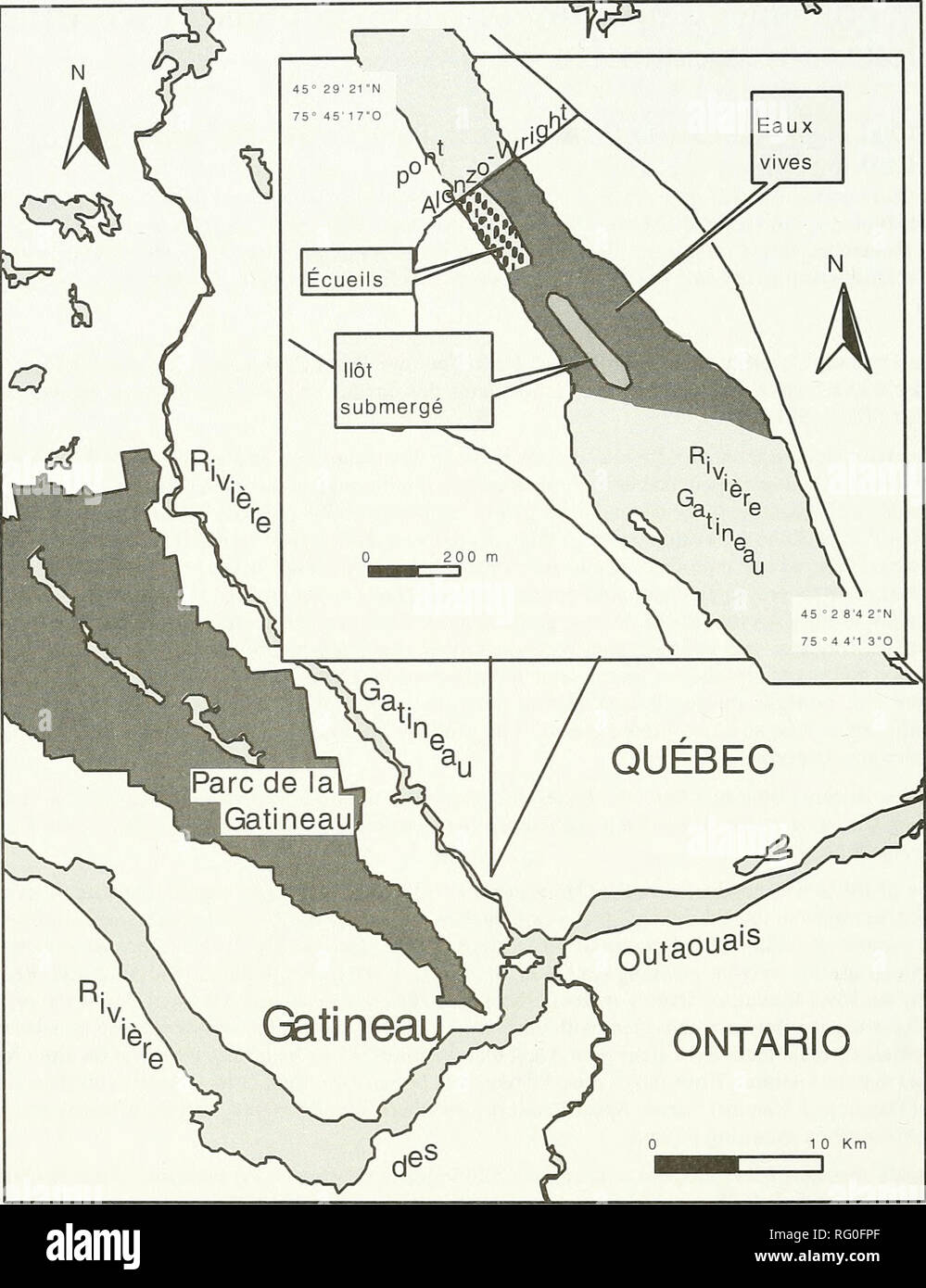 . La Canadian field-naturaliste. L'Feeld-Naturalist 522 tome 118. La figure 1. Site de la rivière Gatineau près du pont Alonzo-Wright, se trouvant un 5,2 km de la jonction avec la rivière des Outaouais. Ici sera portee sur la répartition dans le temps de la reproduction des trois especes de chevalier {Moxos- toma spp.) qui utilizent le secteur des rapides pour frayer. Site d'Echantillonnage La section de la rivière Gatineau (45°29'N, 75°44'0) echantillonnee se trouve entre 6,0 et 5,2 km de l'embouchure sur la rivière des Outaouais (Figure 1). La zone d'echantillonnage couvre une longue Banque D'Images