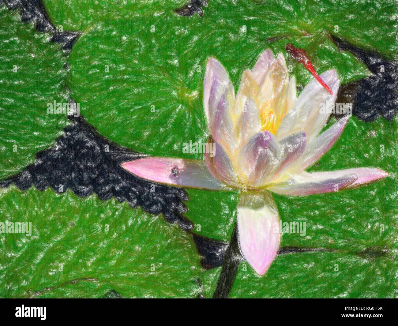 Motif fleur de lys Banque de photographies et d’images à haute