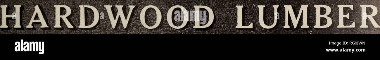 . Industries canadiennes forestières Janvier-juin 1912. L'exploitation forestière ; les forêts et la foresterie ; Produits forestiers ; l'industrie de pâte de bois ; industries du bois. CANADA bûcheron et menuisier. États-unis Les fabricants et grossistes à la recherche d'entreprises canadiennes de bois d'Long-Knight Fabricants et le Sud de l'Indiana Co. feuillus chêne, frêne, cyprès nos spécialités toutes les enquêtes à l'adresse du bureau principal à Indianapolis. Les chantiers de l'INDIANA : ORLKANS, INI). ; l-'à Wayne. Dans1&gt ;. ; Paoli, IXD. S. P. Coppock &AMP ; Fils Co. de fabricants et négociants en bois d'Indiana en quartiers chene Frene, tilleul, peuplier Banque D'Images