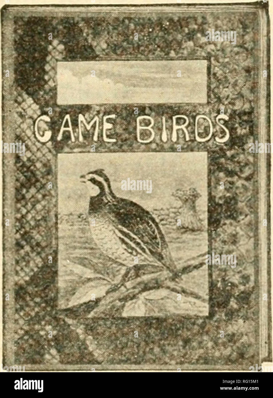 venir à votre rencontre