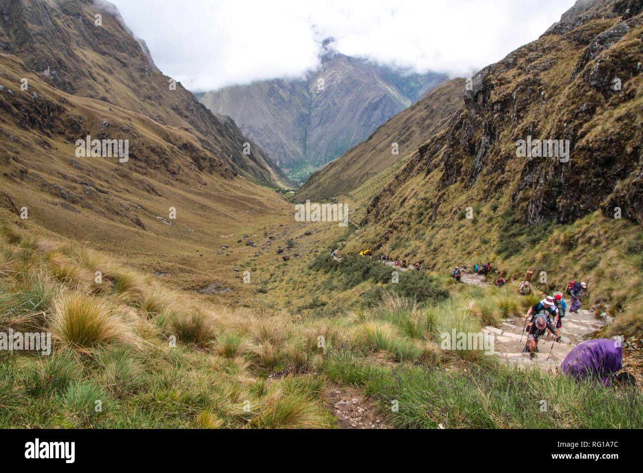 Vue imprenable sur le paysage andin a la suite du célèbre sentier de randonnée Sentier des Incas au Pérou, à travers un paysage de forêt de nuages mystérieux Banque D'Images
