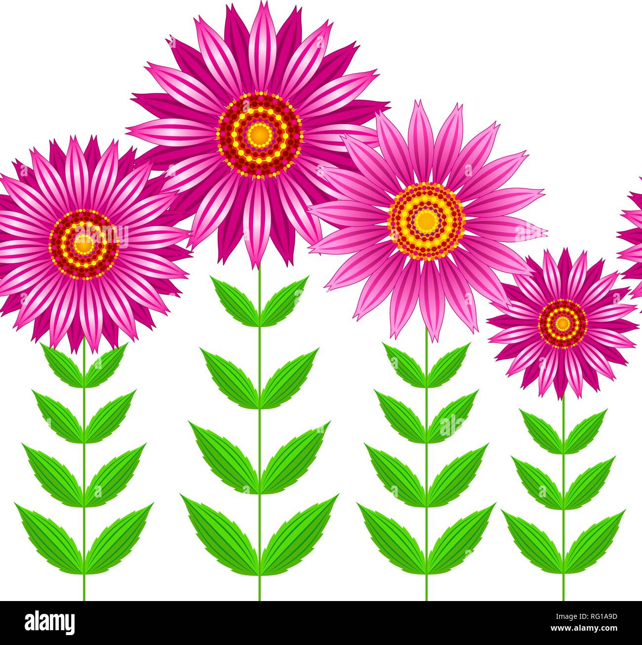 Vecteur d'Echinacea purpurea sans fleurs. Illustration de Vecteur