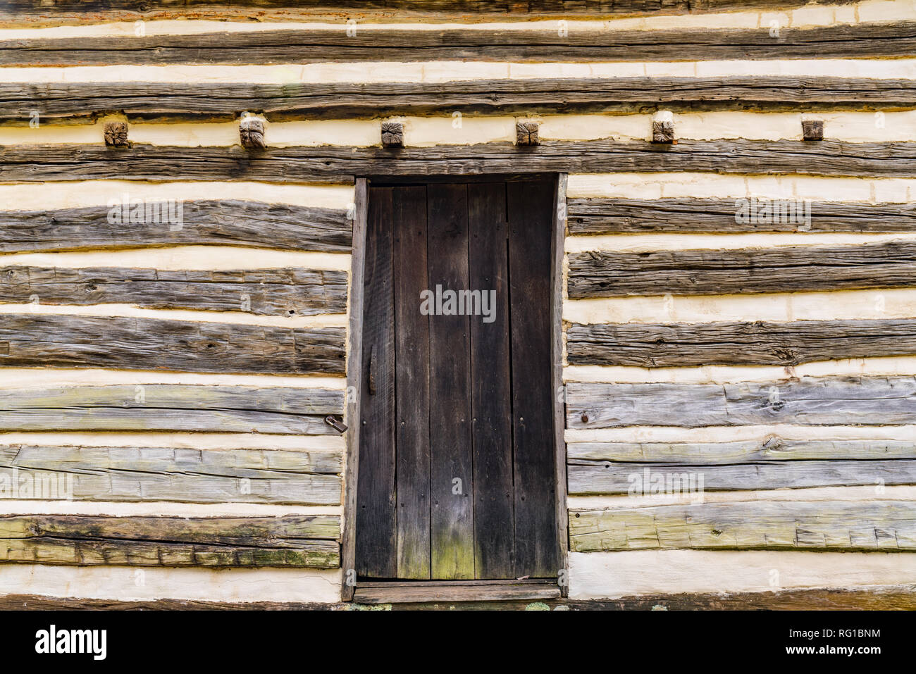 Old weathered Wooden Door on a log cabin Banque D'Images