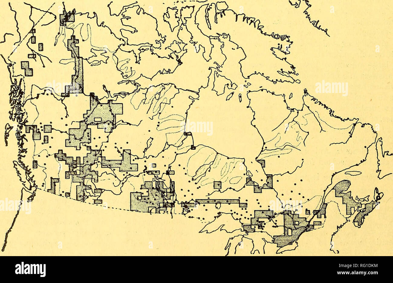 . La Canadian field-naturaliste. 66 Le Canadian Field-Naturalist [Vol. XLVll et très souvent le mot "coutume" n'a que très peu de sens du tout. Il couvre la vague des impressions subjectives de l'abondance au cours des dernières années, les impressions plus vague que la mémoire s'atténuera. Mais la plupart des gens qui vivent hors des portes et parmi les animaux sauvages conserver une idée précise et probablement de l'abondance de l'année dernière, même si elle n'a pas de base quantitative. Pour cette raison, les comparaisons d'une année à l'activer un enregistrement de tout cycle visible à être tenu, bien que l'échelle verticale de ch Banque D'Images