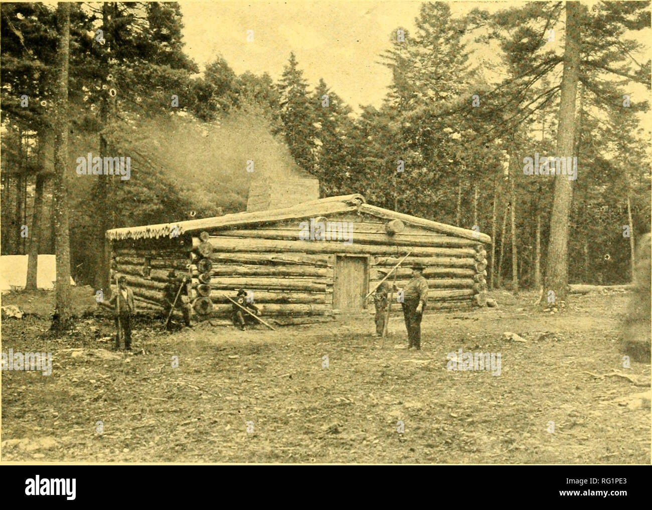 . Journal canadien des forêts. Les forêts et la foresterie -- Canada Périodiques. Aloll.^ L'allée, Rockcliffe, Ottawa. 'Royal Shanty," RocklifTe Park, Ottawa. Veuillez noter que ces images sont extraites de la page numérisée des images qui peuvent avoir été retouchées numériquement pour plus de lisibilité - coloration et l'aspect de ces illustrations ne peut pas parfaitement ressembler à l'œuvre originale.. L'Association forestière canadienne. [Ottawa] : l'Association forestière canadienne Banque D'Images