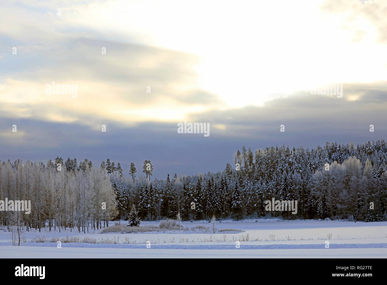 Sodankylä, Finlande. 27 janvier 2019. La Finlande l'hiver est froid record : -38,7 degrés Celsius à Sodankylä, dans le sud de la Finlande ca -20 degrés C. Photo de Raasepori, Finlande. 27 janvier, 2019. Credit : Taina Sohlman/Alamy Live News Banque D'Images Sodankylä, Finlande. 27 janvier 2019. La Finlande l'hiver est froid record : -38,7 degrés Celsius à Sodankylä, dans le sud de la Finlande ca -20 degrés C. Photo de Raasepori, Finlande. 27 janvier, 2019. Credit : Taina Sohlman/Alamy Live News Banque D'Images