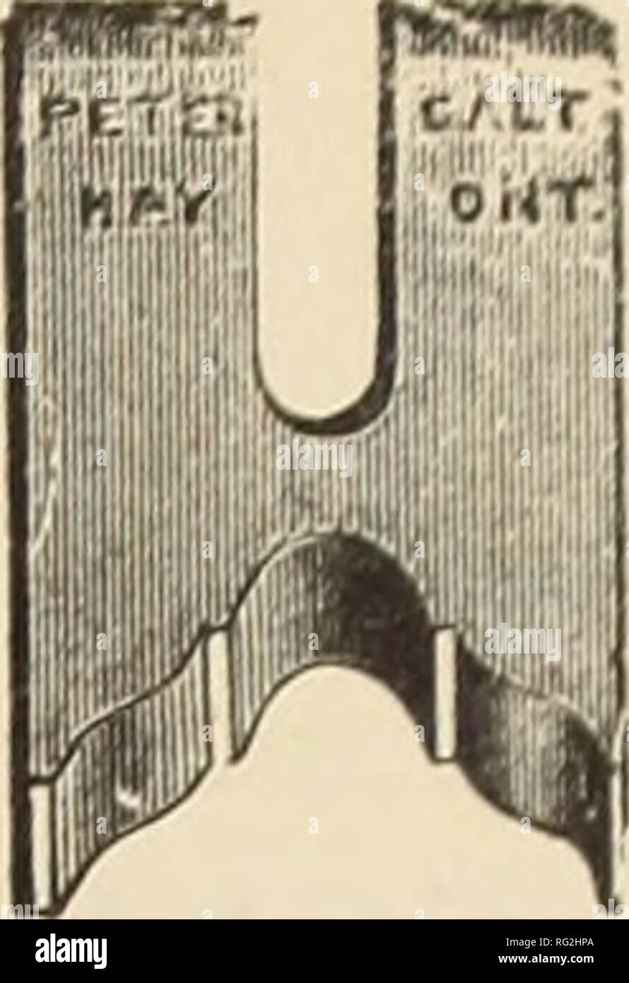 . Industries canadiennes forestières 1889-1890. L'exploitation forestière ; les forêts et la foresterie ; Produits forestiers ; l'industrie de pâte de bois ; industries du bois. Décembre, 1ES9 le bûcheron AU CANADA. Pour les propriétaires de scieries, FABRICANTS ET TOUS CEUX QUI SONT À L'AIDE D'UN AAAft 1 A A Aflf, A A A A A A A A A A. fiA A A A A A A A A A A A /l^* * Une démarche Machine*.* Couteau UK : XE ; Courroies de cuir*. Les COUTEAUX DE LA MACHINE DE CHAQUE DESCRIPTION DE raboter, de moulage &AMP ; éviter de couper. Seitid feice nul ennemi -:sr il"1 ^^OSTT TOU T COURROIES qui s'exécute directement sur les poulies, WJiich est très bien tendu, ce qui ne sera pas déchirer le trou de dentelle Banque D'Images