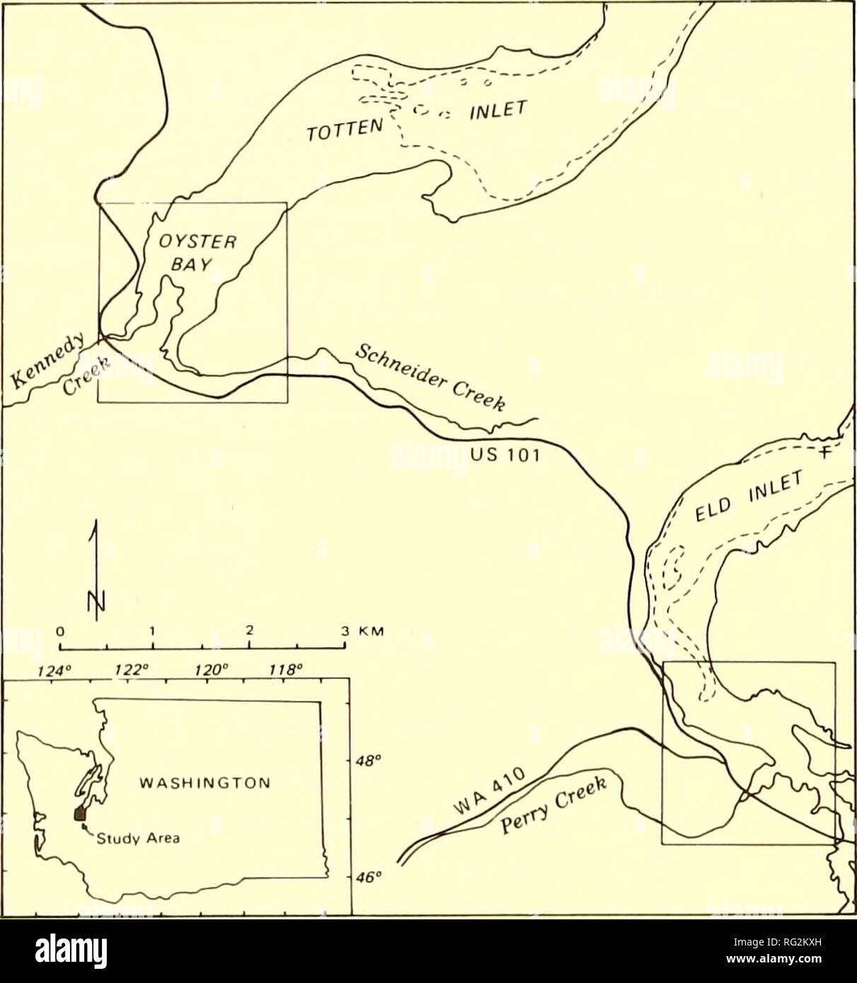 . La Canadian field-naturaliste. Les 612 102 Canadian Field-Naturalist Vol.. La figure 1. L'emplacement des deux secteurs d'étude dans l'ouest de Washington. La Kennedy Creek delta a été visité à 60 jours entre octobre 1980 et novembre 1983. Les observations ont été faites à l'aide de jumelles ou un télescope X 15. Un canot a été utilisée pour atteindre sites de repos lors des hautes marées à l'ELD Inlet. Des dénombrements ont été faits pendant les phases précoces ou tardifs de la période où la boue des oiseaux étaient moins susceptibles d'être dispersées ou obscurci de la vue. Grand Chevalier, de par les critères fournis par Palmer (1967), Burton et McNeil (197 Banque D'Images