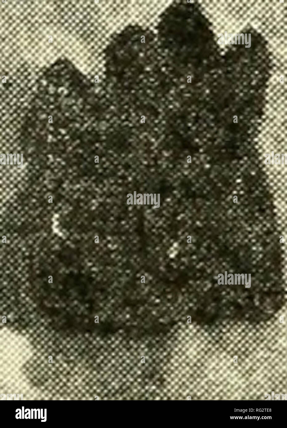 100PC Tibétain Alliage Métal Perles Washer LARGE HOLE Loose Spacer Nickel Libre 7 mm