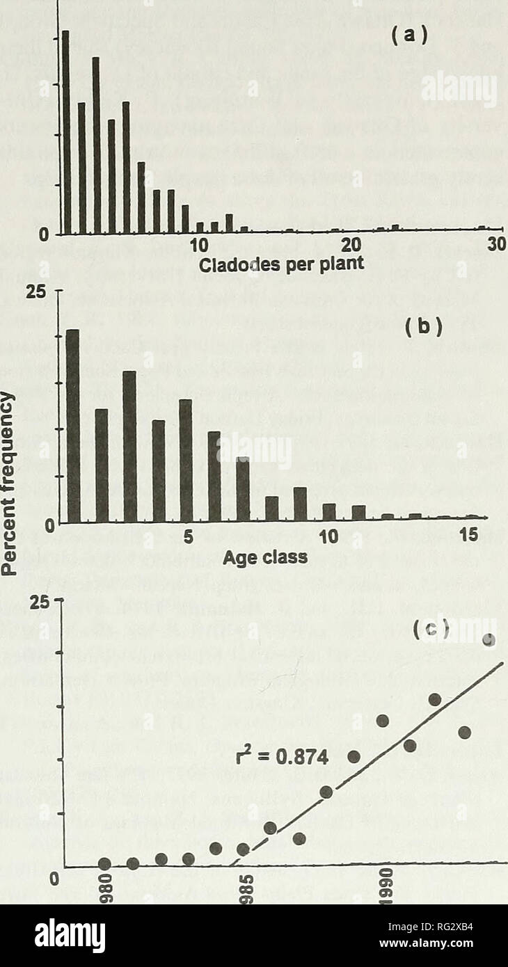 . La Canadian field-naturaliste. 2000 Staneforth et Frego : Cactus isolées dans l'Est de l'Ontario 10325 T. Date de mise en place Figure 3. Structure de la population de l'Opuntia fragilis à Kaladar, Ontario, a) les fréquences de taille, basé sur les numéros de cladode par plante, b) la classe d'âge, la déficience auditive s'c) Population estimée du recrutement depuis 1980, à base de plantes survivants jusqu'à 1995. suceur plat (rubrique 7). Cladodes probablement disponibles ici pourrait s'accumuler et de la racine, après avoir dévalé la pente de sous-sites 1, 5 et 6. Ces plantes étaient plus grandes (5,6, 3,5 usine/cladodes cladodes/tige principale) et moins fourchus. E Banque D'Images