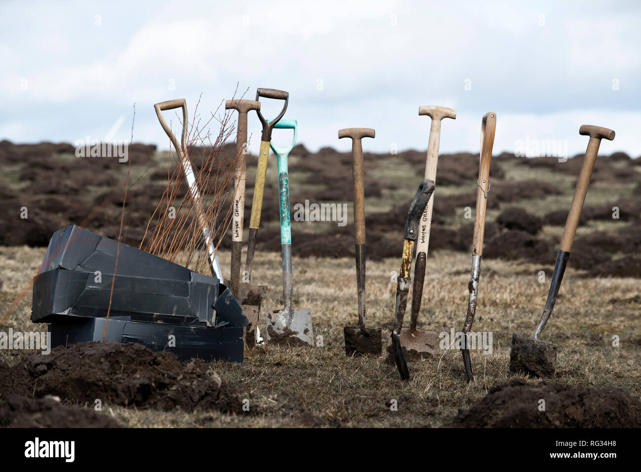 Vendredi 23 mars 2018 : Les premiers arbres seront plantés dans la plus grande forêt de l'Angleterre pendant plus de 30 ans à Doddington North Moor Banque D'Images