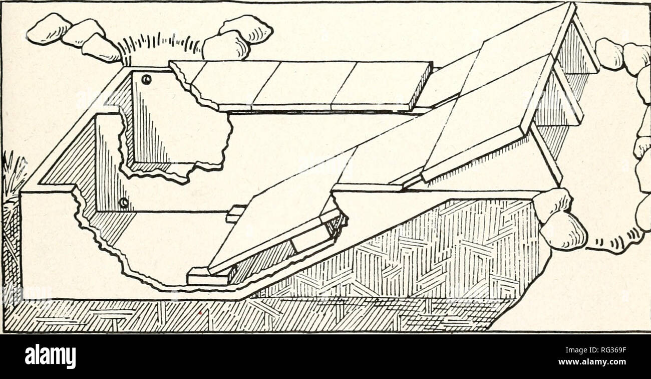 Chasse Et Pêche De La Californie Pêche Californie Jeu