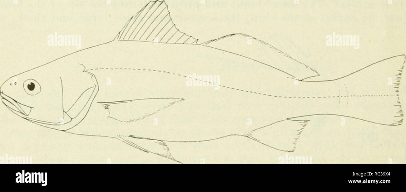 . Chasse et pêche de la Californie. Pêche -- Californie ; jeu et jeu ...