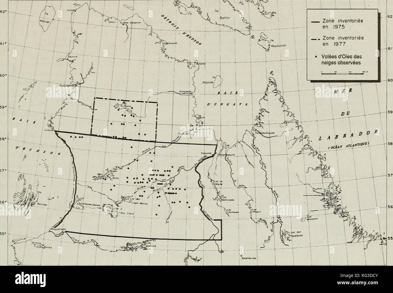 . La Canadian field-naturaliste. L'histoire naturelle. 1995 Henaff, Ouellet, Lepage et Maisonneuve : L'Oie des Neiges 409 82' 81- 80' 79- 78' 77' 76" 75' 74- 73' 72" 7f 70' 69' 68' G7- 66' 65' 64- 63' 62" 61' 60* 59* 58' 57". 79' 78* 77* 76* 74- 75' 73' 72* 71' 70* 69* 68* 67* 66' 65' 63- 62- 61' 60* 58* Figure 1. Localisation des volees d'Oies des neiges au Nouveau-Quebec observees au cours des printemps 1975 et 1977. (Figure 1). En 1977, de 25 000 krn^a ete couverte au moyen de 10 virees equidistantes de 20 km. La zone inventoriee se situait au nord im- diat de Banque D'Images