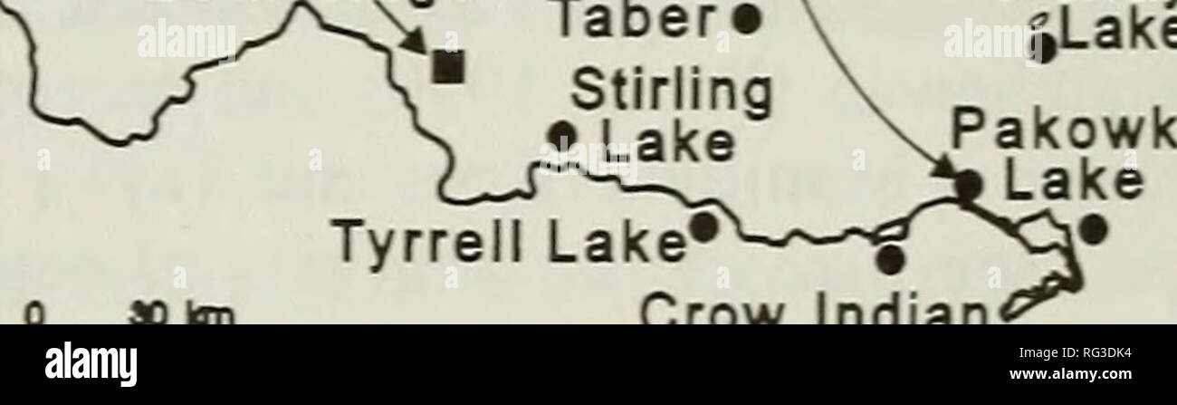 . La Canadian field-naturaliste. L'histoire naturelle. N V Camas | National Wildlife Refuge JE J' l^ho j Grand.Hill ^P ?o^J."F^a % .Rosebud â¢ Calgary â â ¢ .Strathmore Â©Gem EagletsStobart Rantrv Lac Lac Lac Frank Louisiane iÂ" ^^»^^' y â ¢ â ¢ Lacs Lac Newell Â" ^.^. Â ¢ â¢Scandia Kminvie * Lost Lake â ¢ Hays Etzikom Coulee Lethbridge ^ ^ Murray. Lake Lac Tyrrell*^ FiGLTiE* Indien Crow Lake 1. La distribution de "Ibis à face blanche records (Â ¢) dans l'ouest du Canada. (Un non confirmée pour l'Est du Canada [voir le texte]). Décembre 1984. n'a pas signalé l'ibis falcinelle comme se produisant dans le weste Banque D'Images