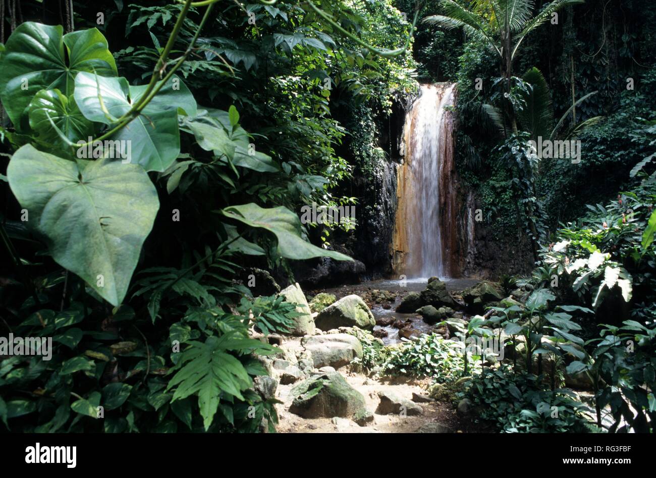 LCA, Sainte-Lucie : the Diamond Falls chute près de la Soufrière. Banque D'Images