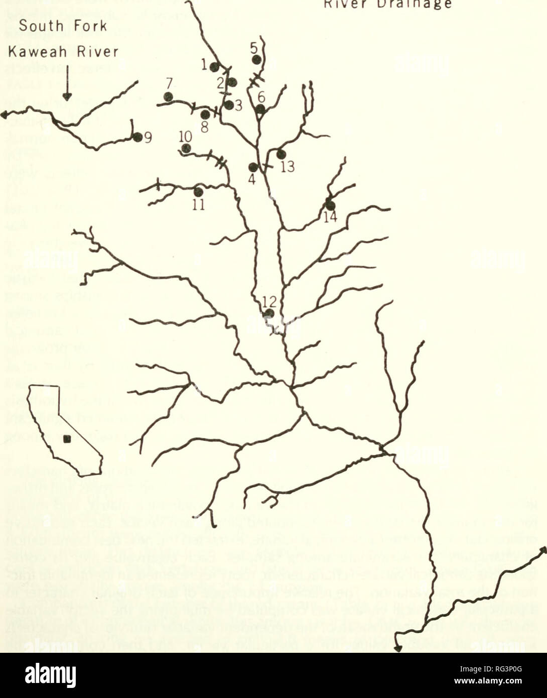 . Chasse et pêche de la Californie. Pêche -- Californie ; jeu et jeu-oiseaux -- Californie ; Poissons -- Californie ; groupes de population animale ; pêches ; gibier, poissons. La SYSTÉMATIQUE DE LA TRUITE D'OR 207 mots pour l'identification, conservés dans l'éthanol, et déposés en collec- tions de référence au ministère de la faune et les pêches, la Texas A&M Univer- sité. Peu de Kern River South Fork Kaweah River. La figure 1. Une carte de la rivière Kern peu montrant les emplacements des 14 sites de collecte de 1974, et l'emplacement des obstacles naturels à la migration en amont. Sites de collecte Banque D'Images