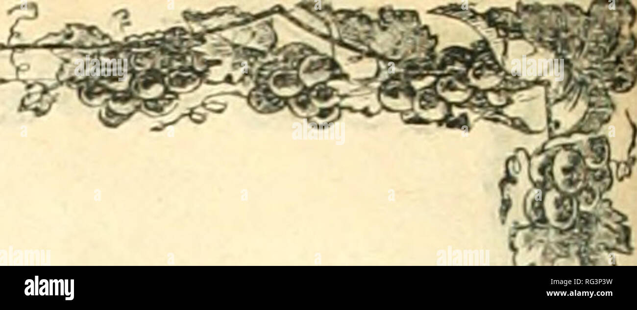 . Californie agriculturist et live stock journal. Agriculture -- Californie ; bétail -- Californie ; l'industrie animale -- Californie. Californie Agriculturist et Live Stock Journal.. VS RAISIN. GEAPES VIN. Le followiug conseils, à partir de la Sacra- mento, Tkcod est juste comme nous ont donné pendant les trois dernières années. Lorsque nous l'avons dit, il y a deux ans, la GI-singes qu pour le vin n'était pas rentable, et que certaines parties ont été l'enracinement de leurs vignes et de convertir les terres en champs de céréales, un hurlement a été soulevée contre nous par la presse. On nous a accusés d'essayer de blesser '-le grand et Banque D'Images