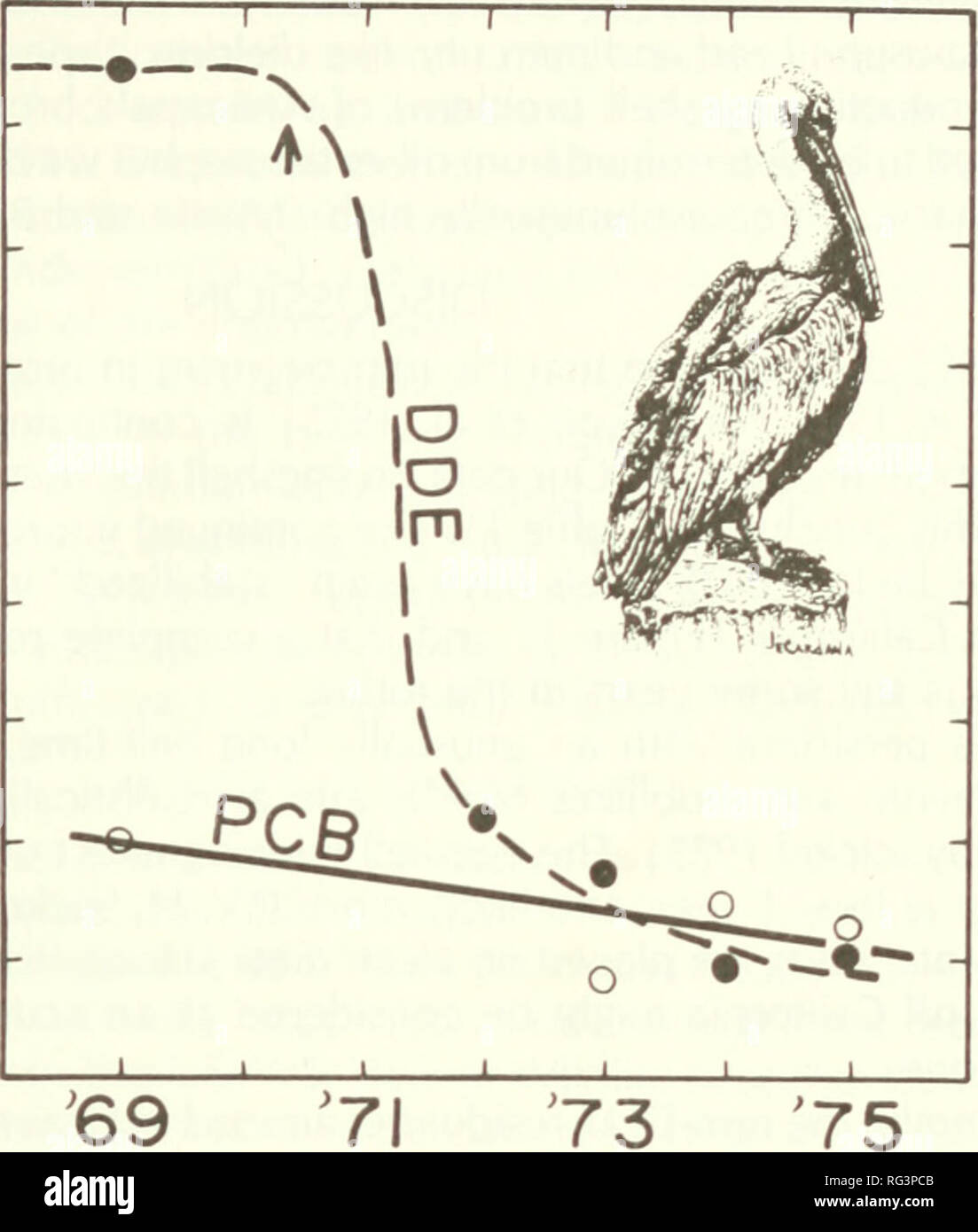 . Chasse et pêche de la Californie. Pêche -- Californie ; jeu et jeu-oiseaux -- Californie ; Poissons -- Californie ; groupes de population animale ; pêches ; gibier, poissons. Statut des pélicans bruns ..(1975) ont fait état d'une baisse récente de BPC dans les moules (Mytilus califomi- cus) de Californie du Sud ; comme avec des pélicans, la diminution de BPC a été moins que moi que dans les composés de DDT. Je CO CO &Lt ; 00 J Q CL a. 900 700- 500 300- 100-. Année ^ LA FIGURE 1. Les changements de résidus de DDE et de PCB dans les pélican brun oeufs du sud de Califor- nia. La flèche indique une baisse importante de l'entrée de l'environnement du DDT. Meech Banque D'Images