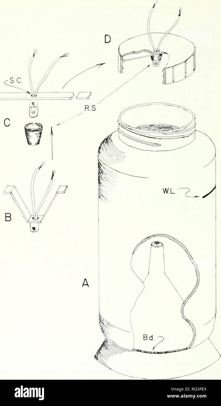 Chasse Et Pêche De La Californie Pêche Californie Jeu