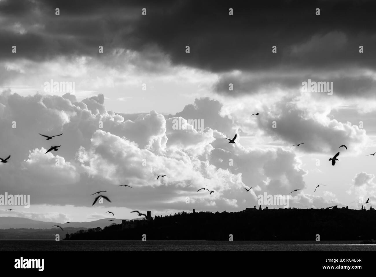 Birds flying over Trasimeno lake Banque D'Images