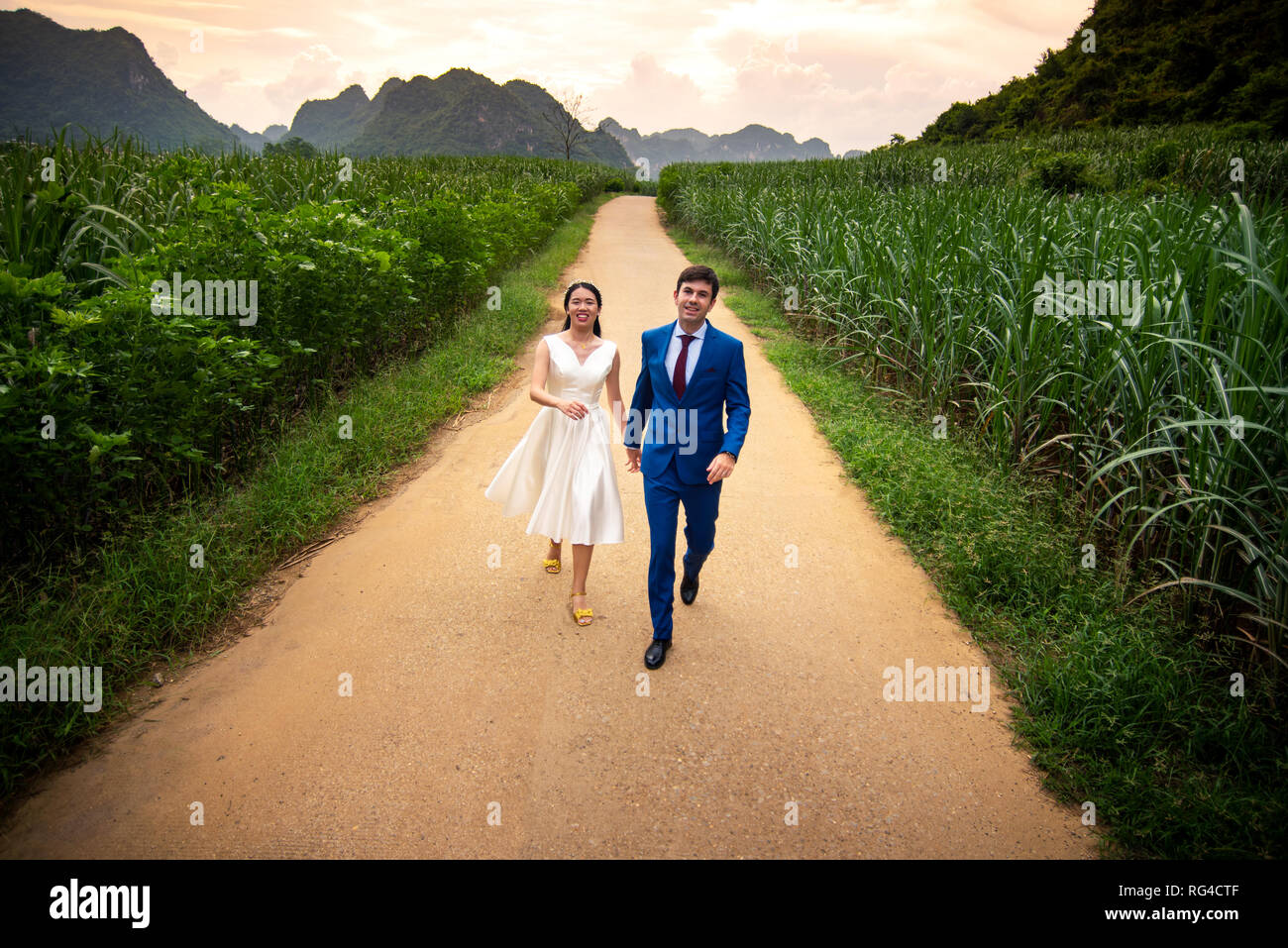 Heureux couple s'amusant dans un champ de canne à sucre au coucher du soleil Banque D'Images