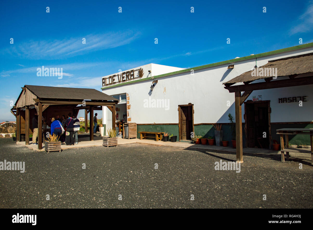 La Finca Canarias Aloe Vera Garden Center à Fuerteventura, Îles Canaries Banque D'Images