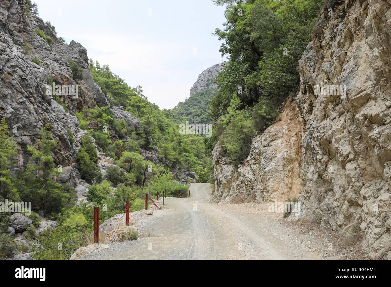 Sentier clôturé dans les gorges de montagnes couvertes de forêts de pins verts. Banque D'Images