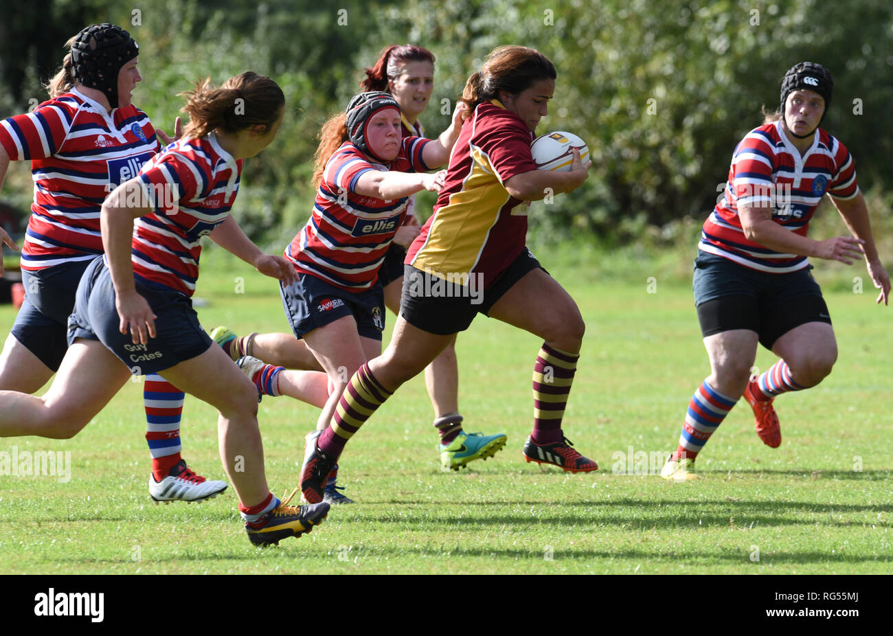 Chers rugby amateur Banque D'Images